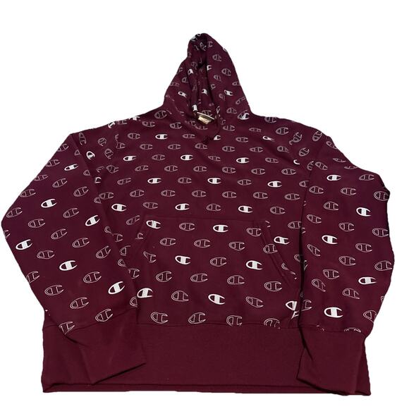 Champion Reverse Weave Hoodie Sweatshirt Men Med Logo Long Sleeve Pocket Thick - Picture 1 of 12